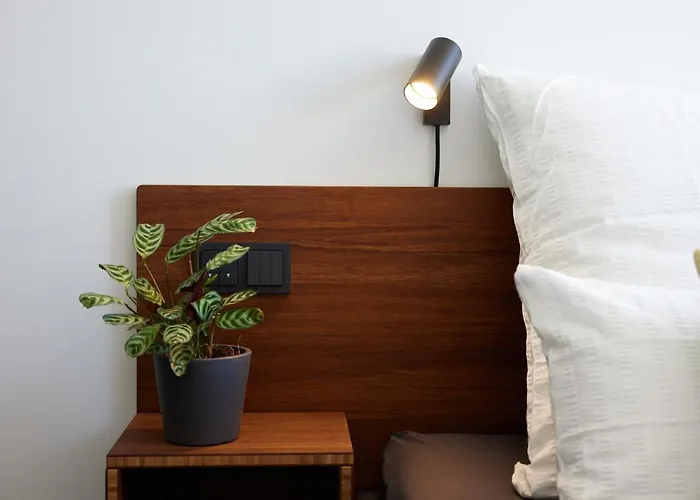 Tin 3* Эркеленц